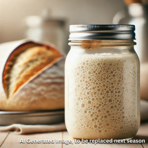 Sourdough Starter