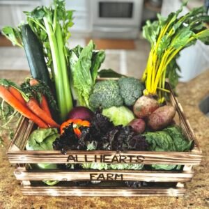 2025 Mostly Salad CSA