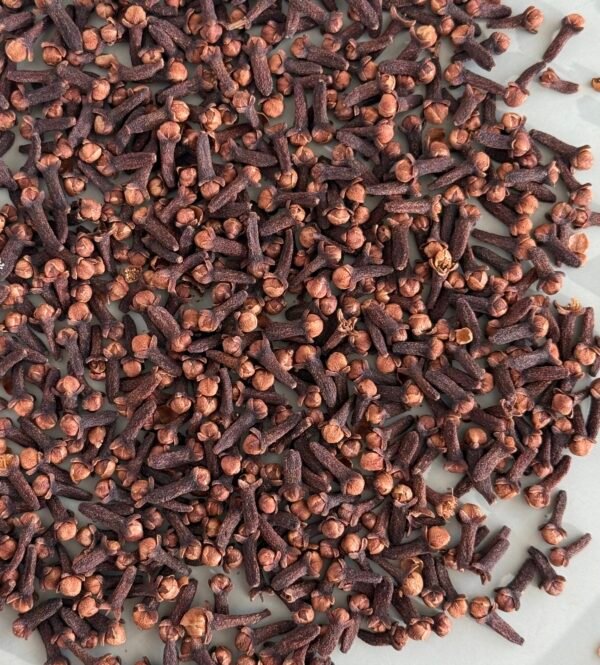 Clove - Image 2