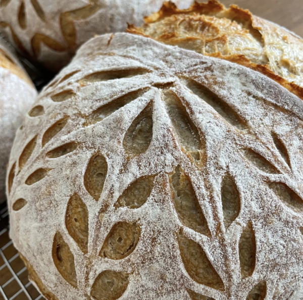 2026 Sourdough CSA Add-on