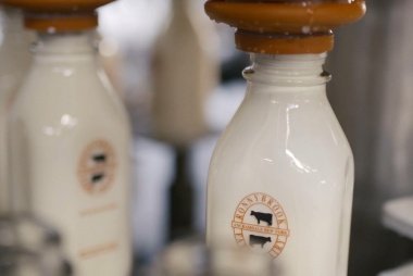 2026 Ronnybrook Milk CSA Add-on